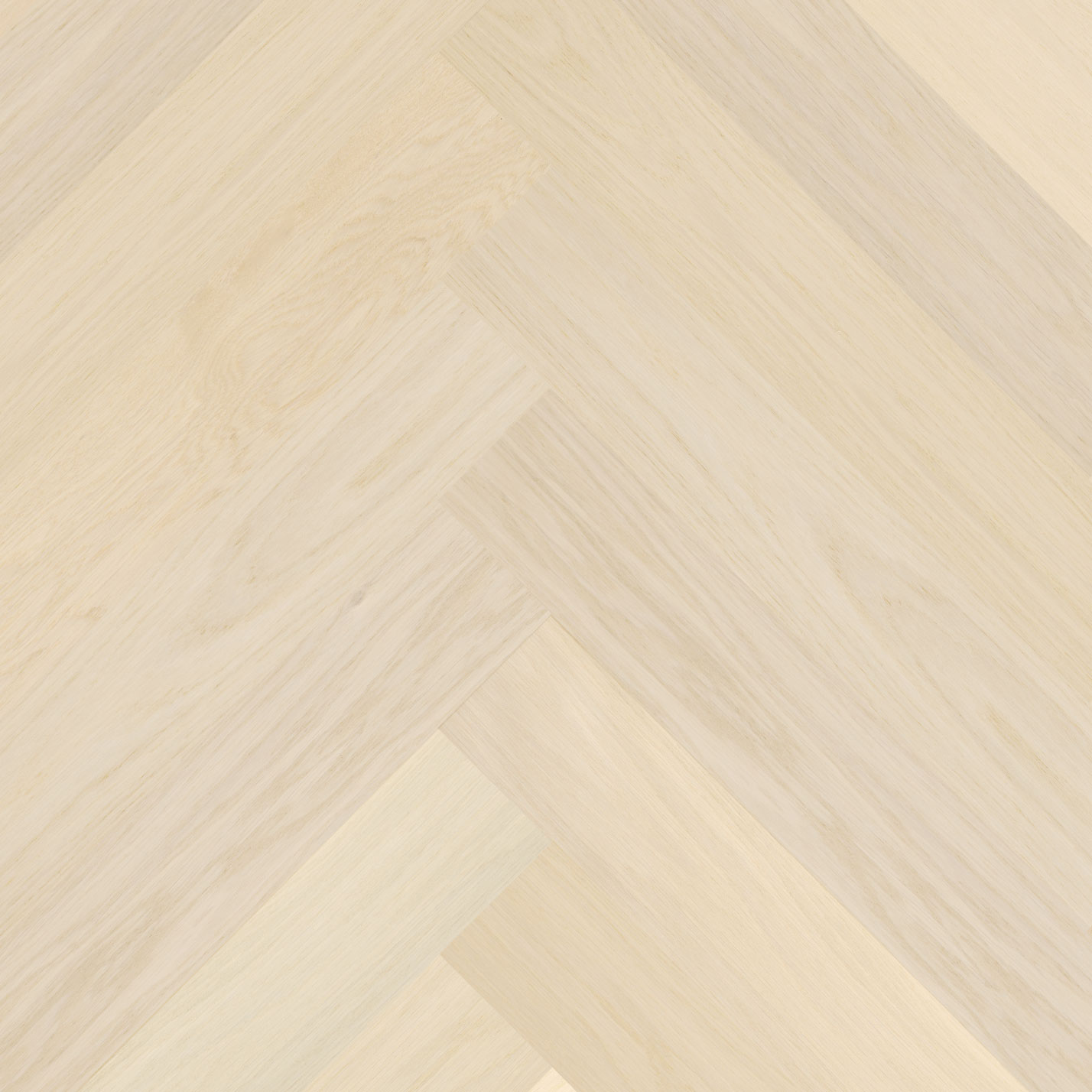 EGO Nova Hickory — Англійська ялинка